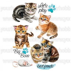 Vasalható Textil Transzfer Játékos cicák A4