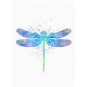 Gyémántszemes kirakó Szitakötő  30x40 cm