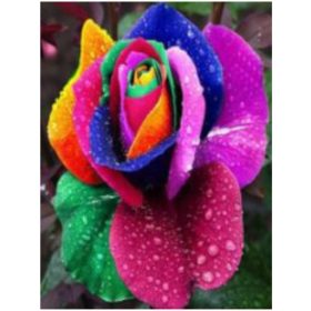 Gyémántszemes kirakó Szivárványos rózsa 30x40 cm