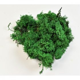 Termés Izlandi zuzmó 20 g világoszöld