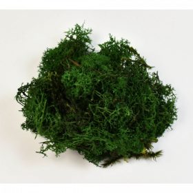 Termés Izlandi zuzmó 20 g sötétzöld