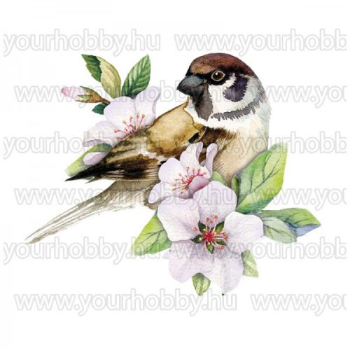 3D motívumok, Törpepapagáj és madarak 10db 7-9 cm