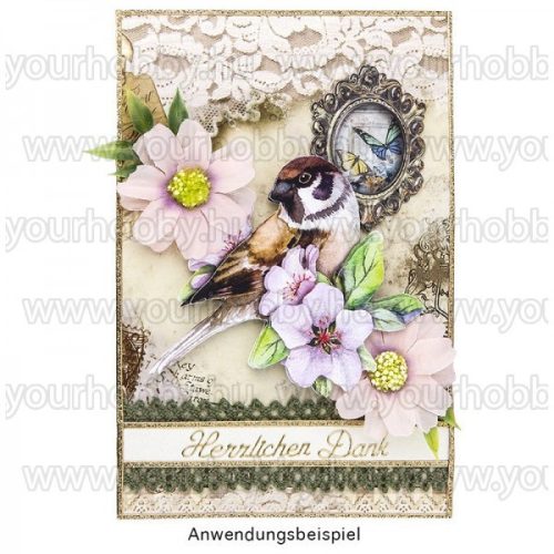 3D motívumok, Törpepapagáj és madarak 10db 7-9 cm