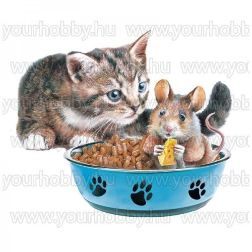 3D motívumok, Aranyos macskák 10db 6,5-9,2 cm