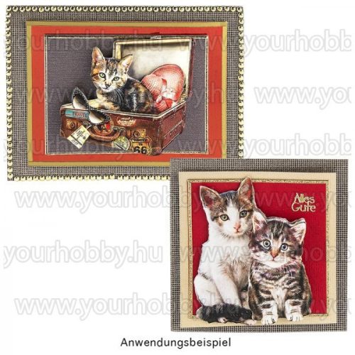 3D motívumok, Aranyos macskák 10db 6,5-9,2 cm