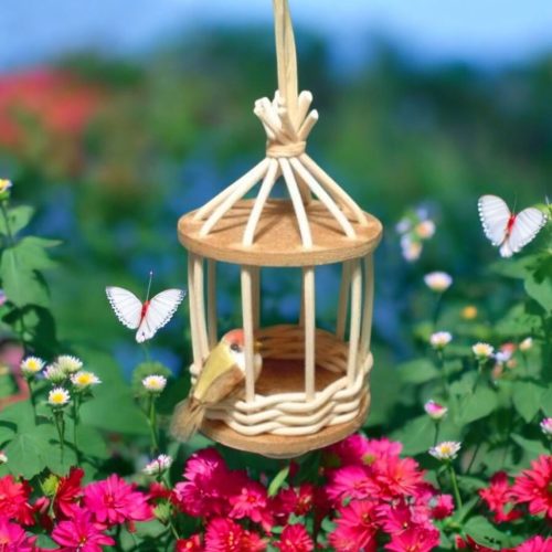 Peddignád kosárfonó készlet Madárkalitka