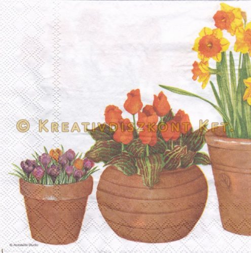 Szalvéta Cserepes virágok