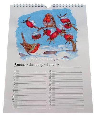 Kreatív öröknaptár, kifestős A4 -es