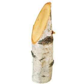 Fatörzs darabok nyírfából