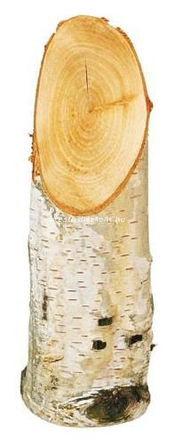 Fatörzs darabok nyírfából