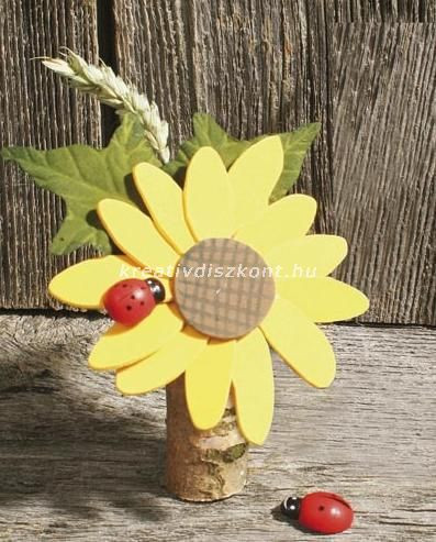 Fatörzs darabok nyírfából