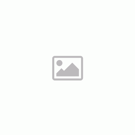 PENTART FÉNYES AKRILFESTÉK 50 ML - PÚDERSZÍN