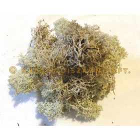 Termés Izlandi moha 20 g/cs - Natúr